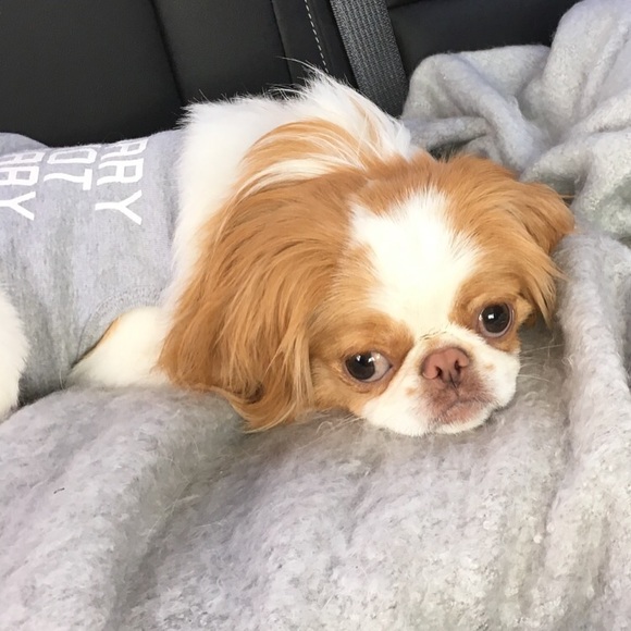 Meet your Posher, Mindy - Picture 1 of 1