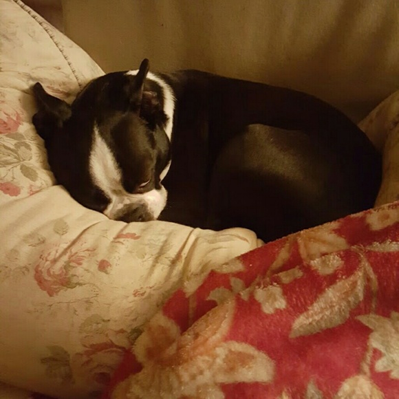 I’m your posher Gypsy! From office to casual to a little bit wild and crazy! - Picture 3 of 4