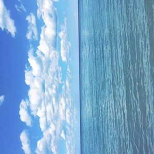 Meet your Posher, Izzy