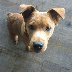 Meet your Posher, Elizabeth