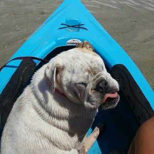 Meet your Posher, Kelsey