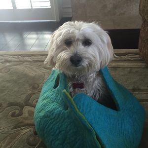 Meet your Posher, Laurie