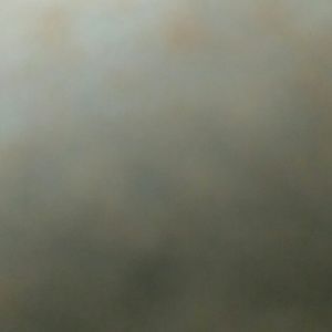 Meet your Posher, Nicky