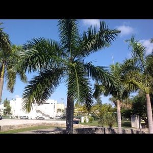 Meet your Posher, Ivette