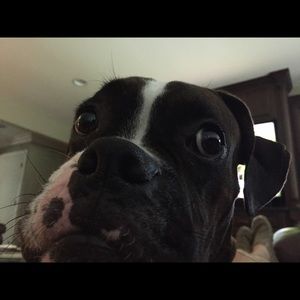 Meet your Posher, Taylor