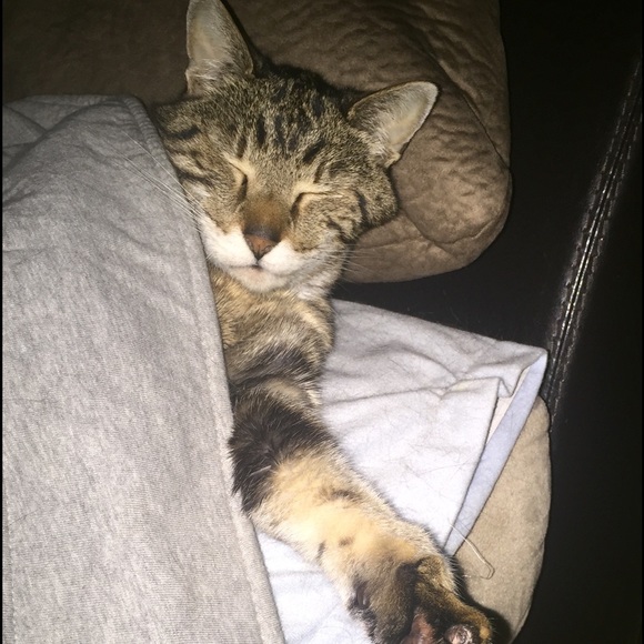 Meet your Posher, Kristi - Picture 3 of 4