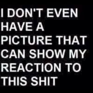 Meet your Posher, Aviette