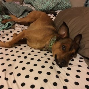 Meet your Posher, Hannah