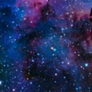 Meet your Posher, Jaylyn