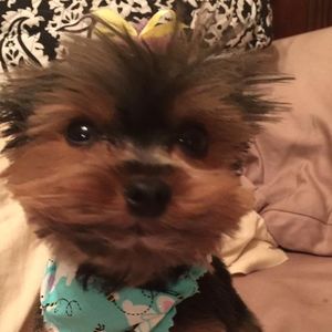 Meet your Posher, Tammy