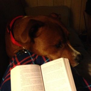 Meet your Posher, Victoria