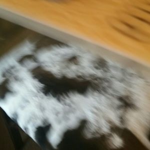 Meet your Posher, Sheree