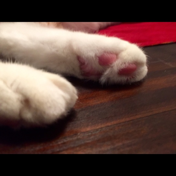 Meet your Posher, Hanna