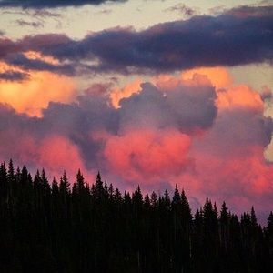 Meet your Posher, Briana