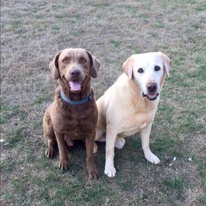 Meet your Posher, Amie