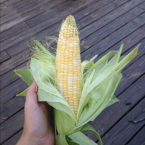 Meet your Posher, Kat