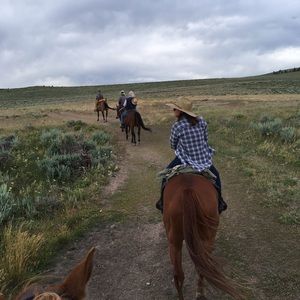 Meet your Posher, Alison