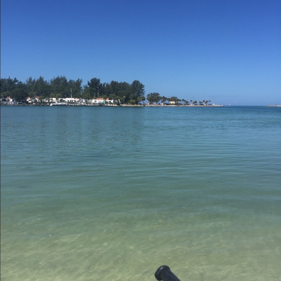 Meet your Posher, Callie