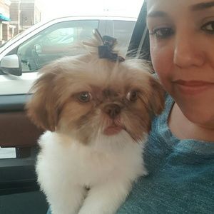 Meet your Posher, Araceli