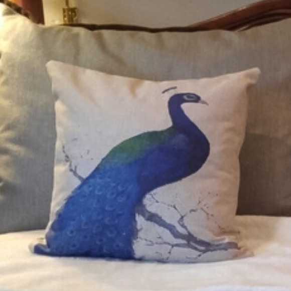 🍒JUST IN🍒 Beautiful Peacock Pillow Cover! - Picture 3 of 3