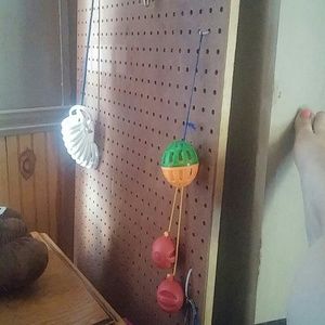 Meet your Posher, Becky