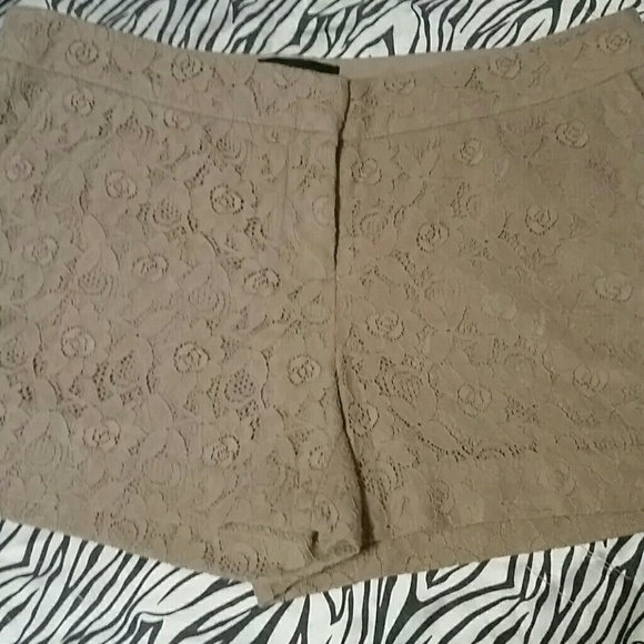 Nwot Cynthia Rowley  taupe lace shorts size 8