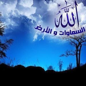 Meet your Posher, Nadia