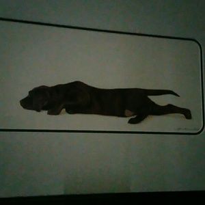 Meet your Posher, Glenda