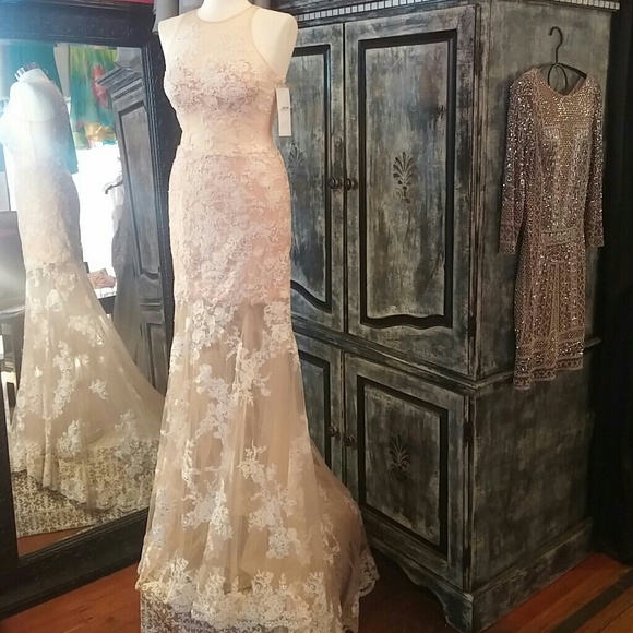 Cinderella Mermaid Gown