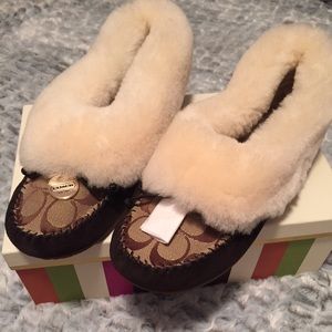 Coach Slippers