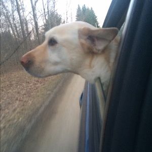 Meet your Posher, Natalie