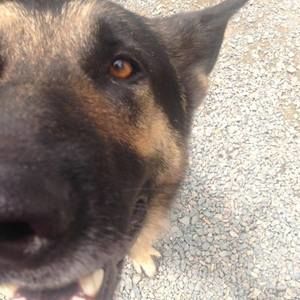 Meet your Posher, Tammy