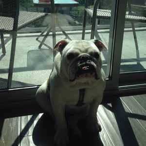 Meet your Posher, Fabiola