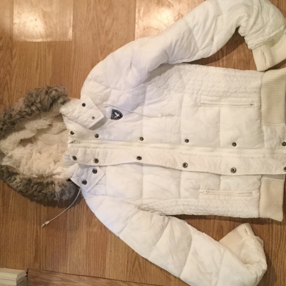 Puffer - Picture 2 of 4