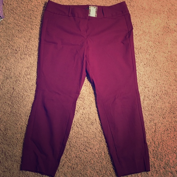 The limited exact stretch pants! 16s