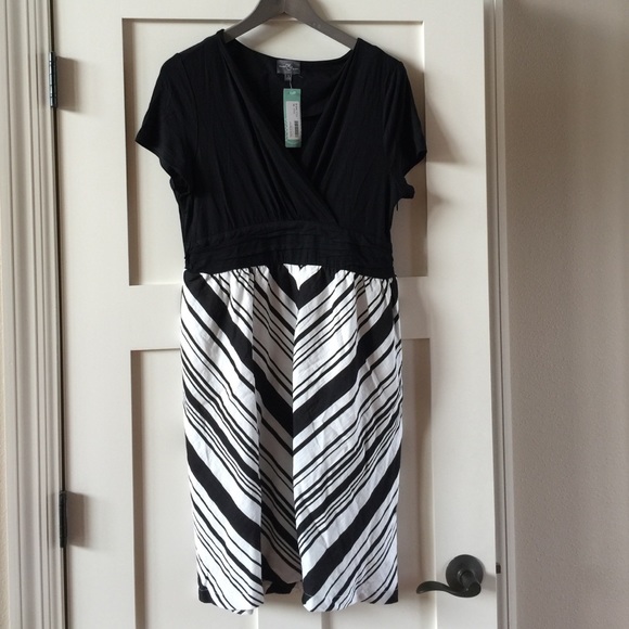 NWT Market & Spruce Stitch Fix szXL print dress