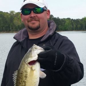 Meet your Posher, Billy