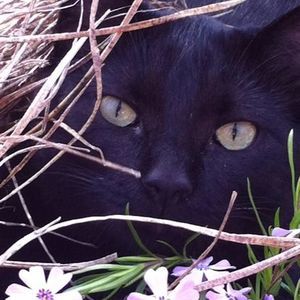 Meet your Posher, Cindy