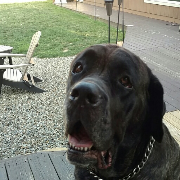 Meet your Posher, Kyle - Picture 1 of 1