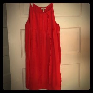 Silk Joie Dress