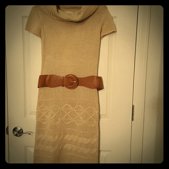 Pink Rose Sweater Dress
