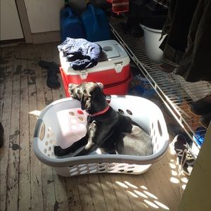 Meet your Posher, Tina