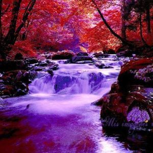 Meet your Posher, Arlene