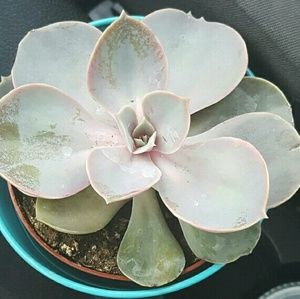 Meet your Posher, Michaela