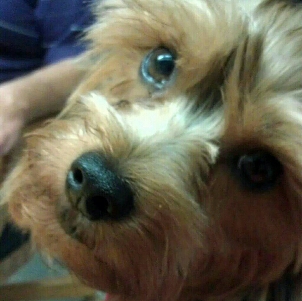 Meet your Posher; Herbalist; Artist; Designer