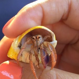 Meet your Posher, Adriana