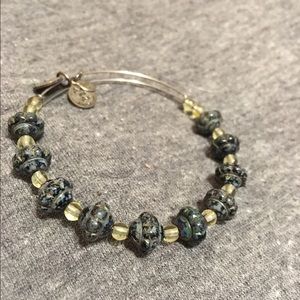 Alex & Ani bangle