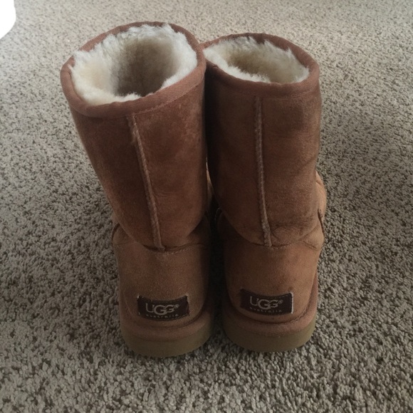 Chestnut Classic Ugh Boots