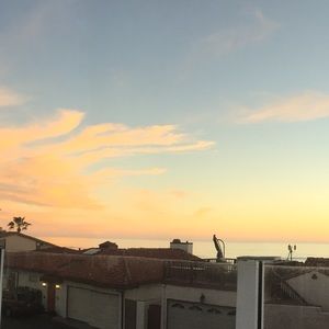 Meet your Posher, Maddie