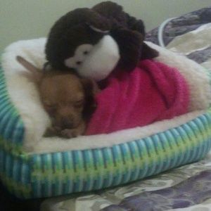 Meet your Posher, Theresa